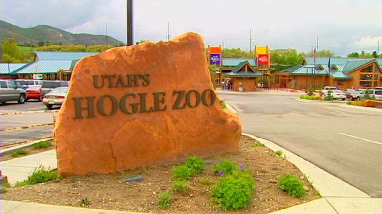 Zoo officials fighting to change fundraising requirements