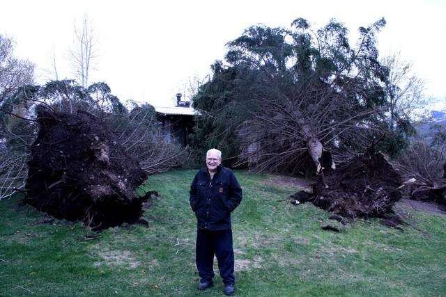 Homeowner Clifton narrowly missed being crushed by a big tree at his Enterprise home.