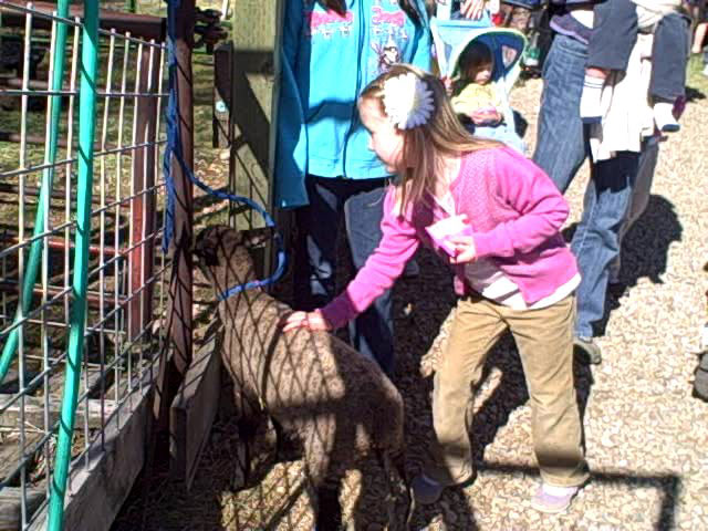 Farm field days teaching kids about life on a farm
