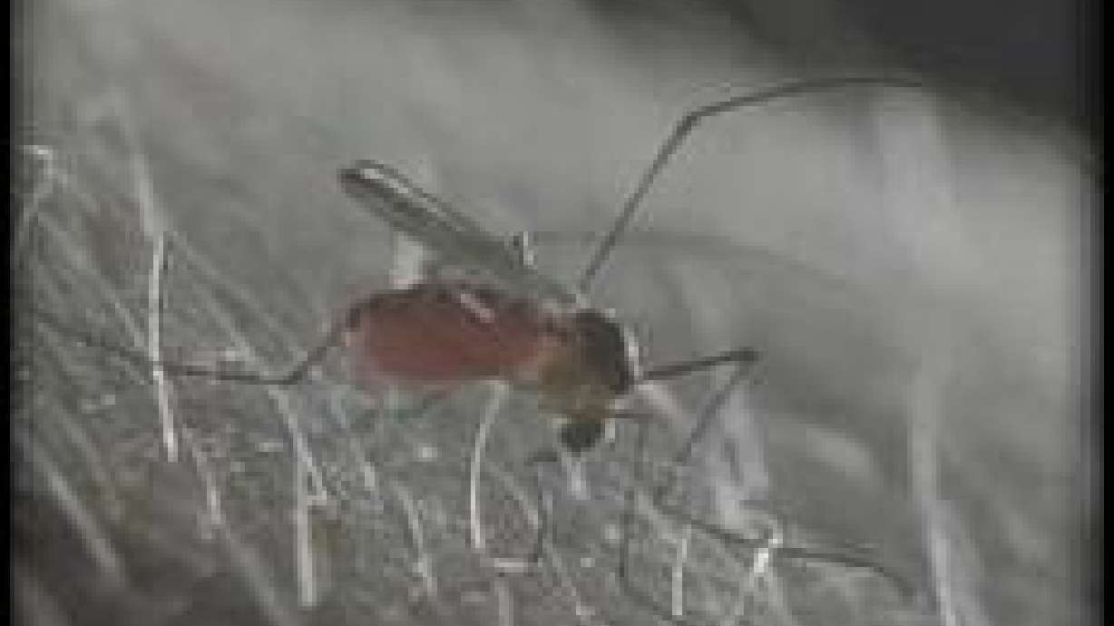 Increase This Week in Cases of West Nile Virus