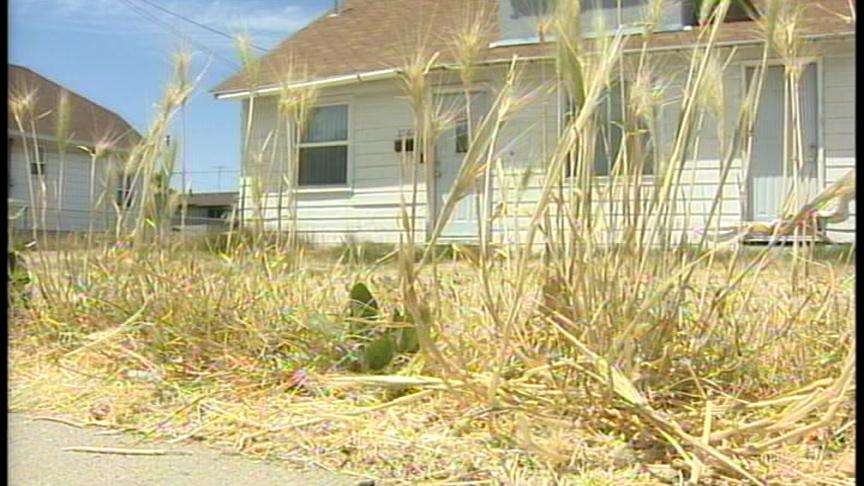 Woman Charged for Not Watering Lawn, Attorney Speaks Out