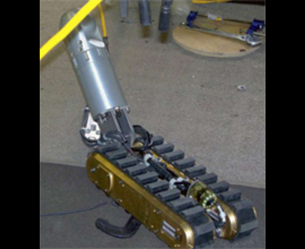 (AP Photo/Department of Labor)