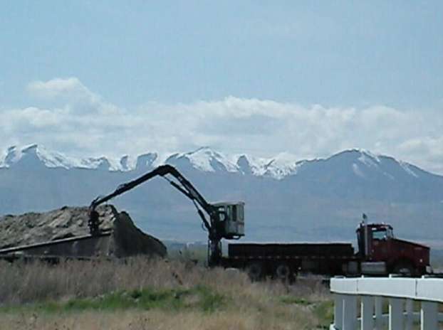 Picture from home video