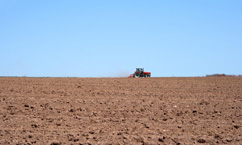 How Accurate is Farmer's Almanac?