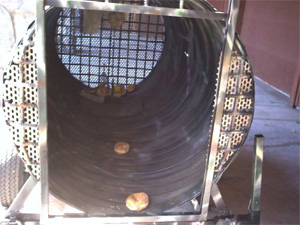 Bear Invades Pinebrook