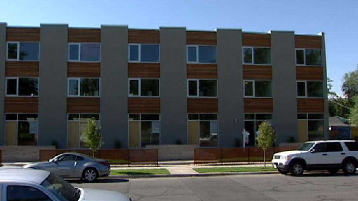 Local Neighborhood Cleans Up and Goes Green