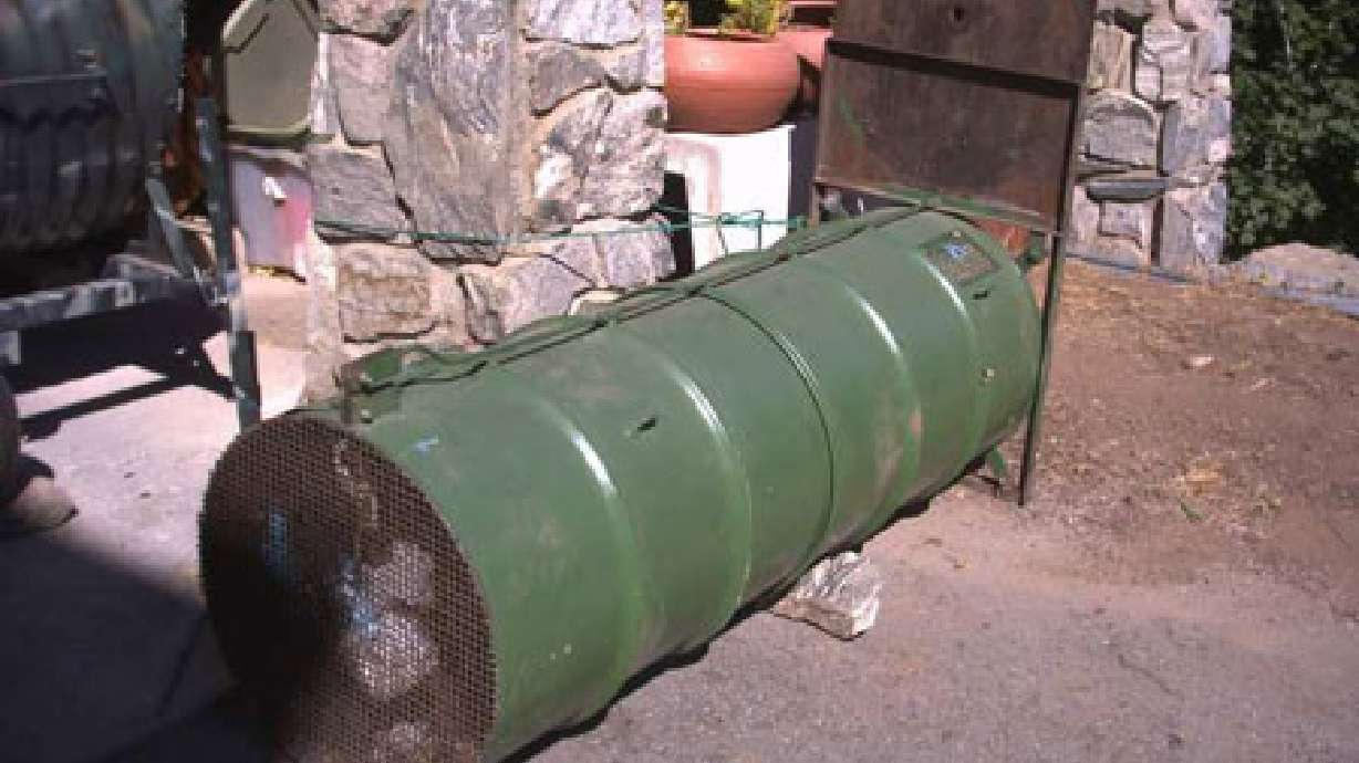 Bear Invades Pinebrook