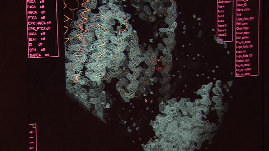 U of U Selected to Help Oversee AIDS Study