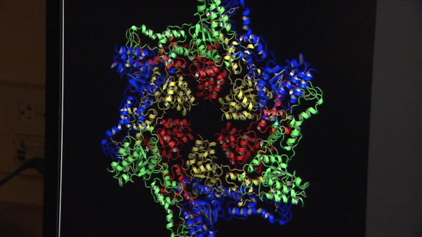 U of U Selected to Help Oversee AIDS Study