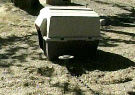 Dog Fighting Ring has Links to Utah