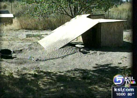 Dog Fighting Ring has Links to Utah