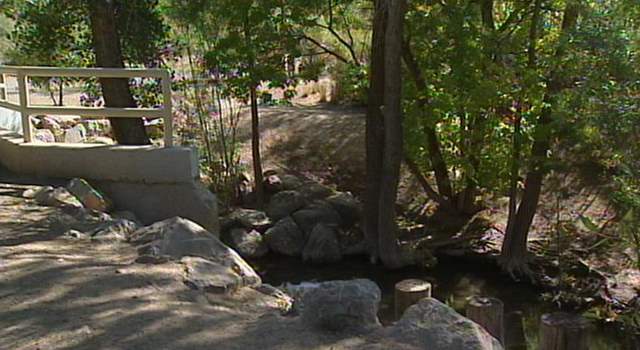 Chemical Leak Closes Creek through the Weekend