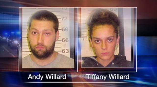 30 Dogs Missing from Dog Fighting Investigation