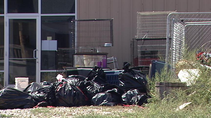 Emergency Pet Adoption to be Held at Layton Hills Mall