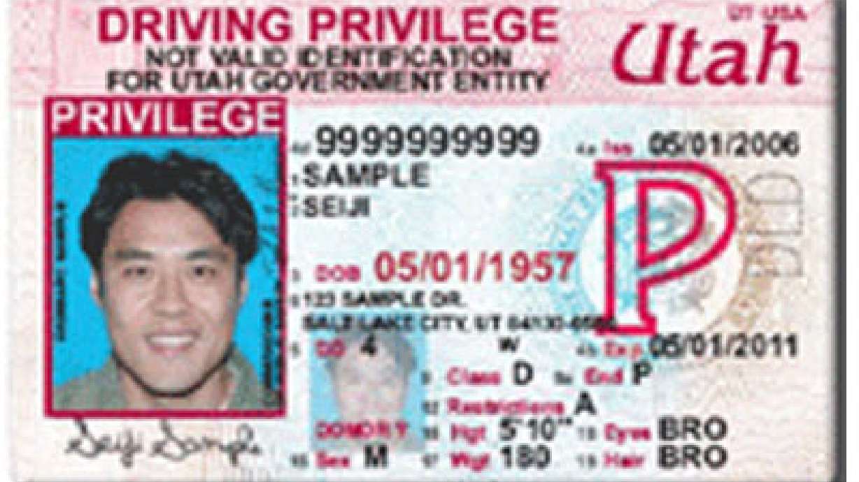 Driving privilege cards to require background checks