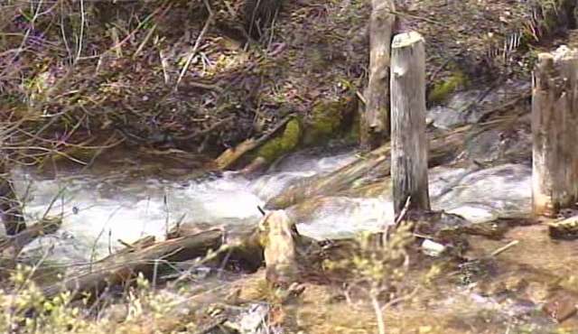 Many Utahns going camping for Memorial Day weekend