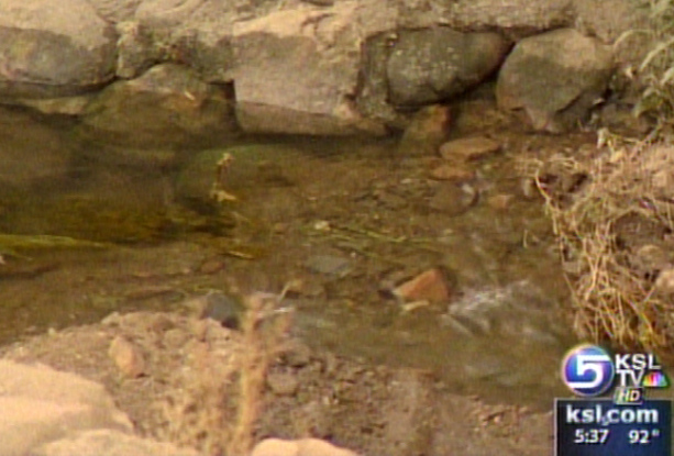 Restrictions in Parley Creek Lifted