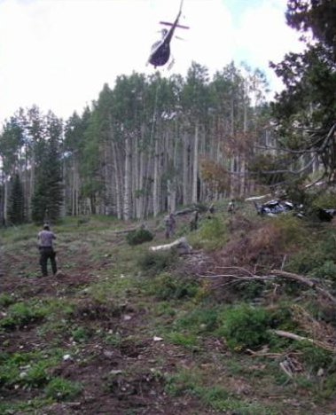 Marijuana Garden in Garfield County Raided 