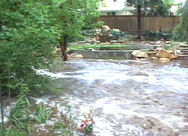 Millcreek Resident is Storm-weary