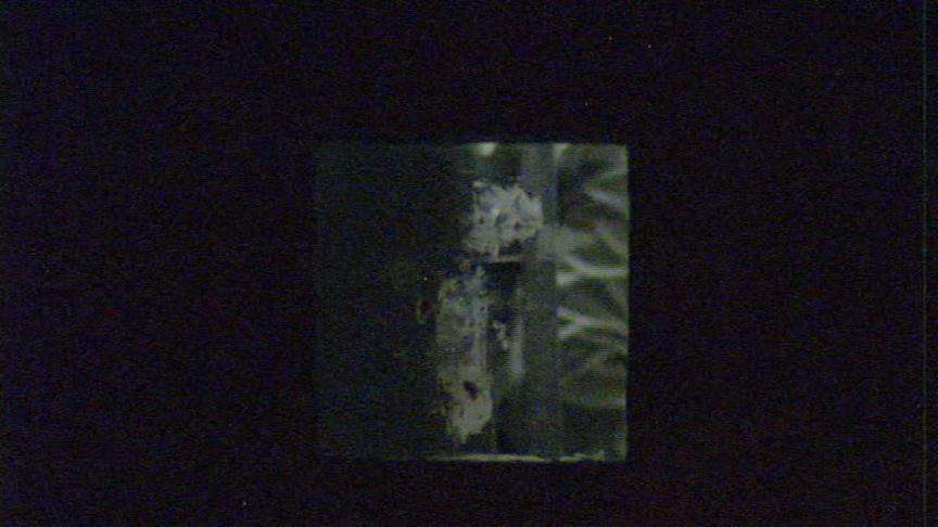 Man Dies in Shooting at Apartment Complex