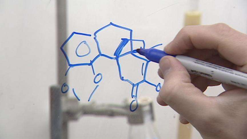 Morphine-like Painkiller May Be Possible without Side-Effects