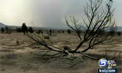 Hay Donations Will Help Ranchers Devastated by Drought, Fire