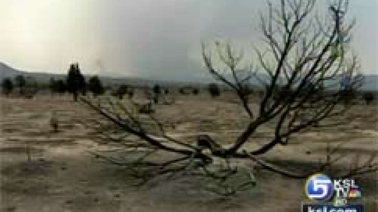 Hay Donations Will Help Ranchers Devastated by Drought, Fire