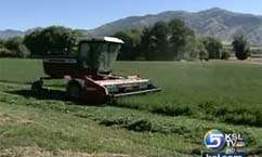 Hay Donations Will Help Ranchers Devastated by Drought, Fire