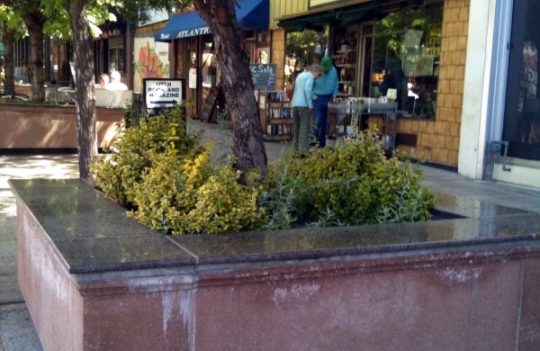 Flower funding in Salt Lake City on the table