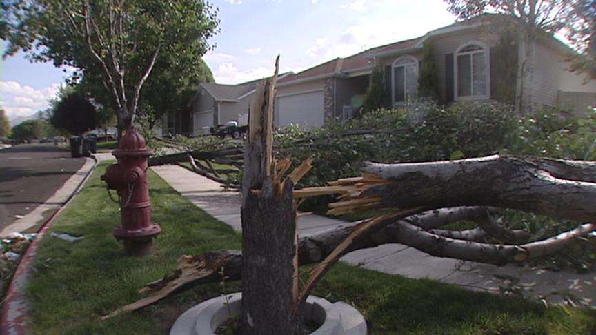 Utahns Cleaning Up After Tuesday's Storms