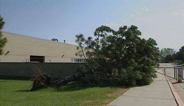 Utahns Cleaning Up After Tuesday's Storms