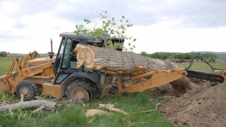 A tree that Gardner was trying to remove from his property fell on his backhoe, killing him instantly.