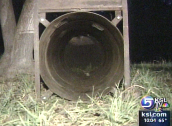 Bear Sighting Causes Closure of Campgrounds