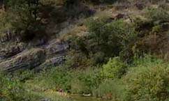 Volunteers, Authorities Search Provo Canyon for Missing Student