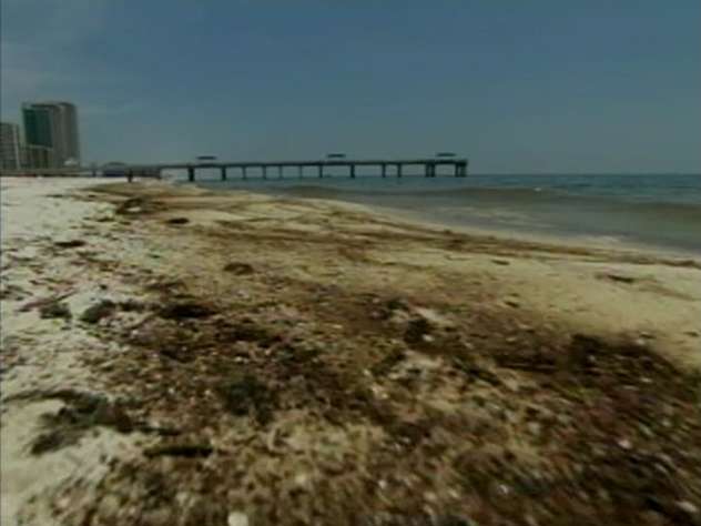 Beaches across the Gulf Coast are covered with oil from the massive BP spill