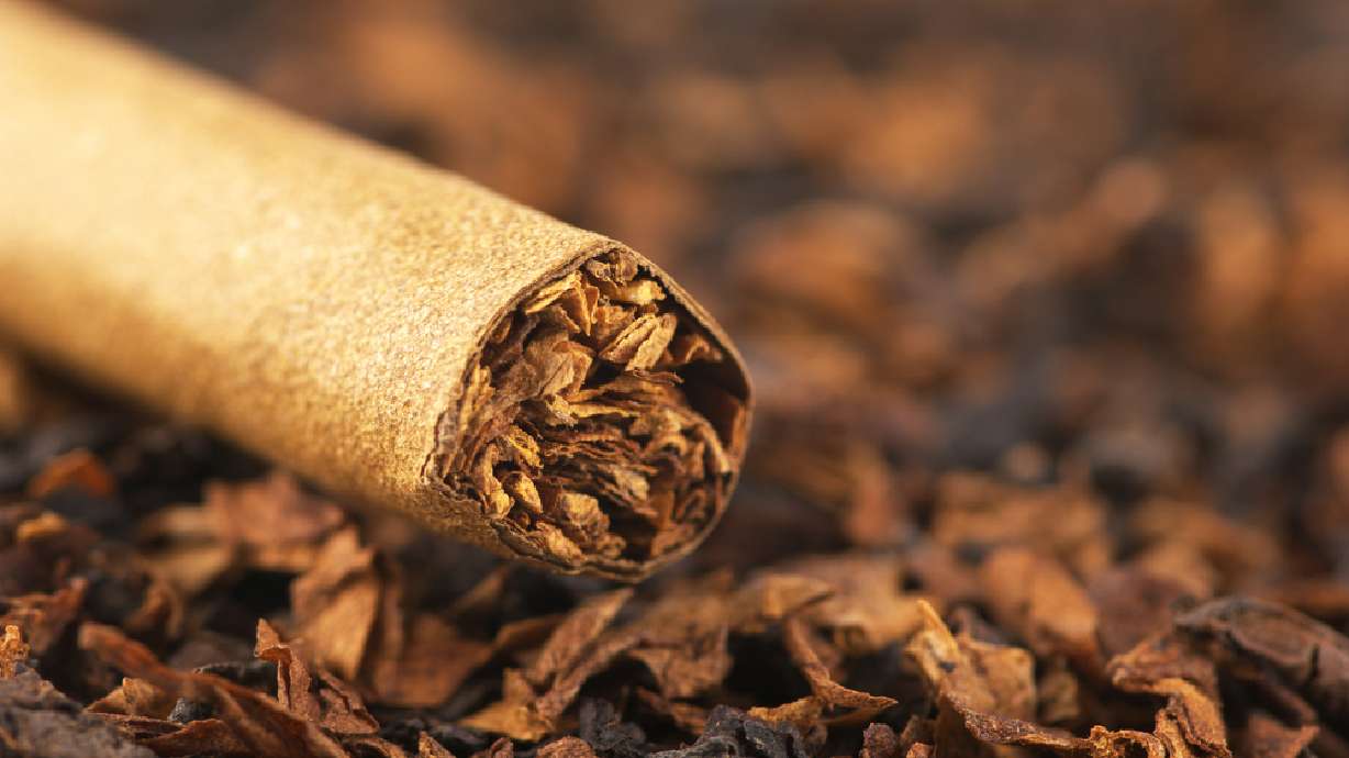 why tobacco is bad for you Cigarette Smoking | Smoking and Tobacco Use