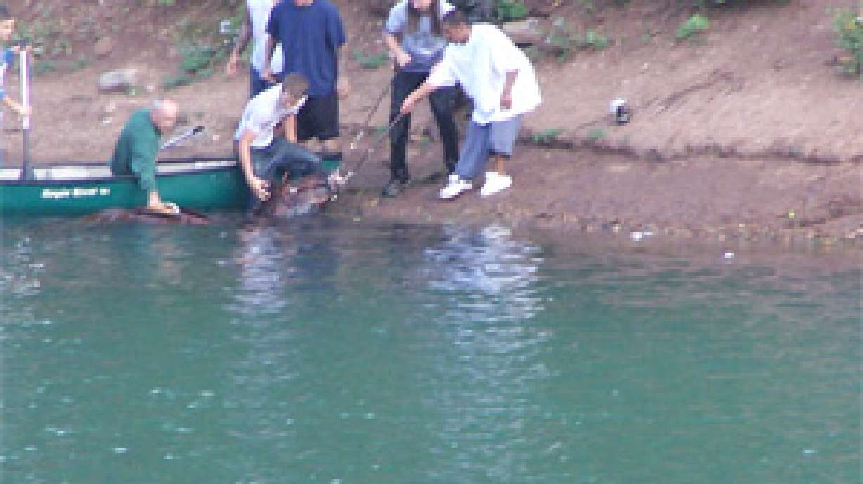 Man Dragged into Reservoir by Horse Identified