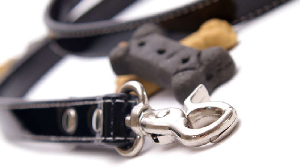 Dog and Owner Booted from Park by Football Players