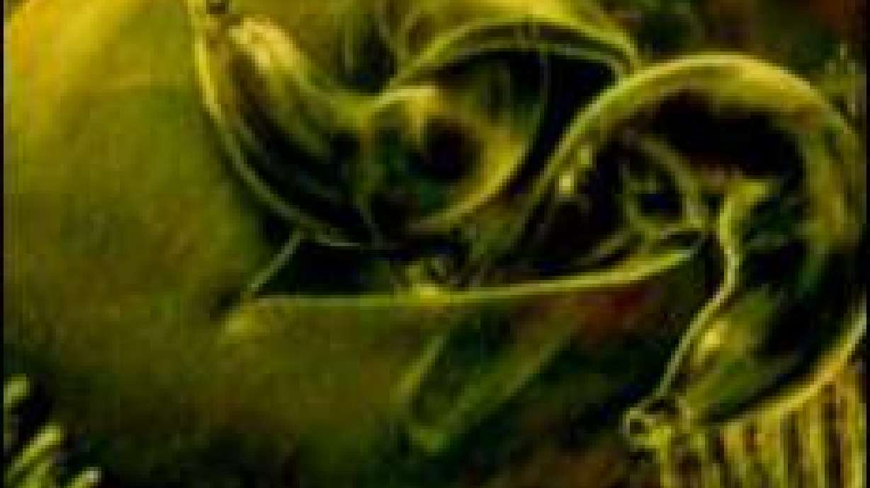 State Extends Pool Restrictions