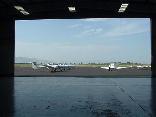 Airplanes Colliding with Deer in Provo