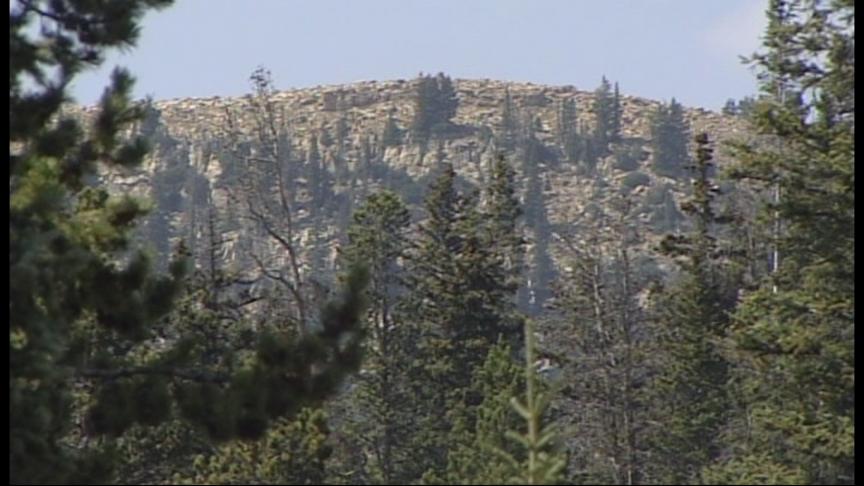 Boy Reunited with Family