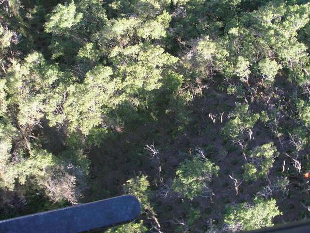Aerial view of the marijuana grow just two miles away from a Centerville neighborhood. Courtesy Davis County Narcotics Taskforce