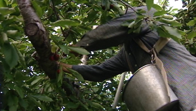 Attorney says Utah-based guest worker program likely won't work