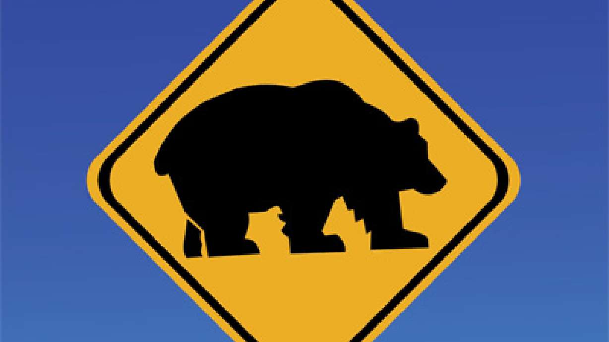 Bear Sighted Near Elementary School