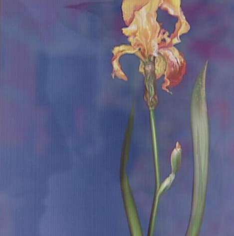 Public Will Help Select Painting to Honor Artist's Friend