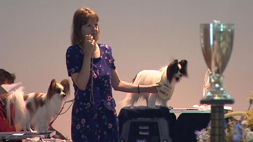 Dog Show Scheduled in Farmington this Weekend