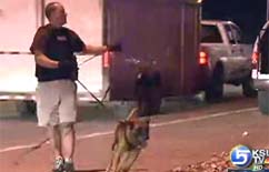 Robbery and Police Chase End in Arrest