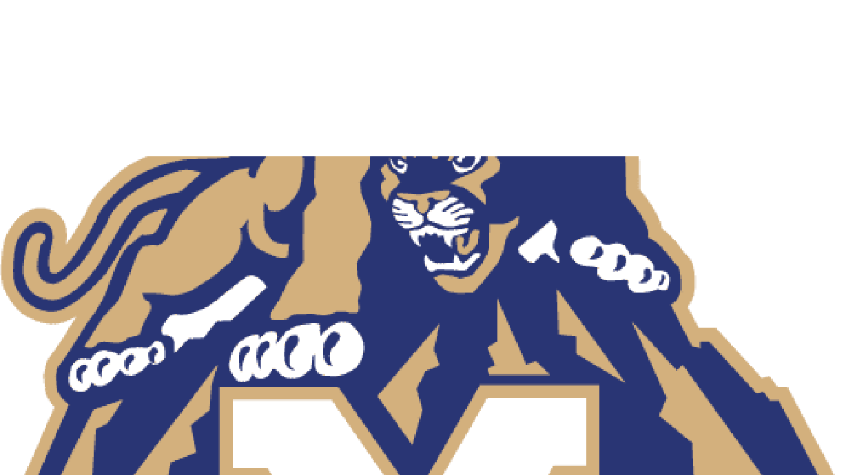 Perez Leads BYU Volleyball to Win
