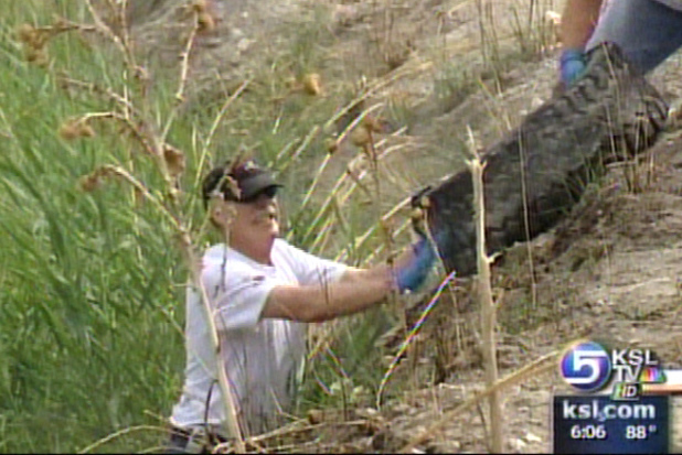Volunteers Clean Banks of Jordan River