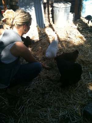 Brit Merrill says she likes raising backyard chickens because they produce excellent eggs